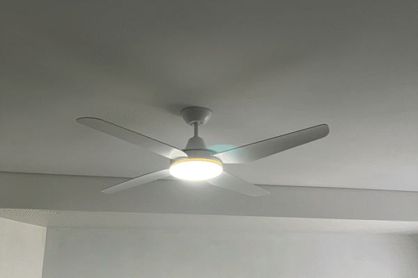 lighting fan-min